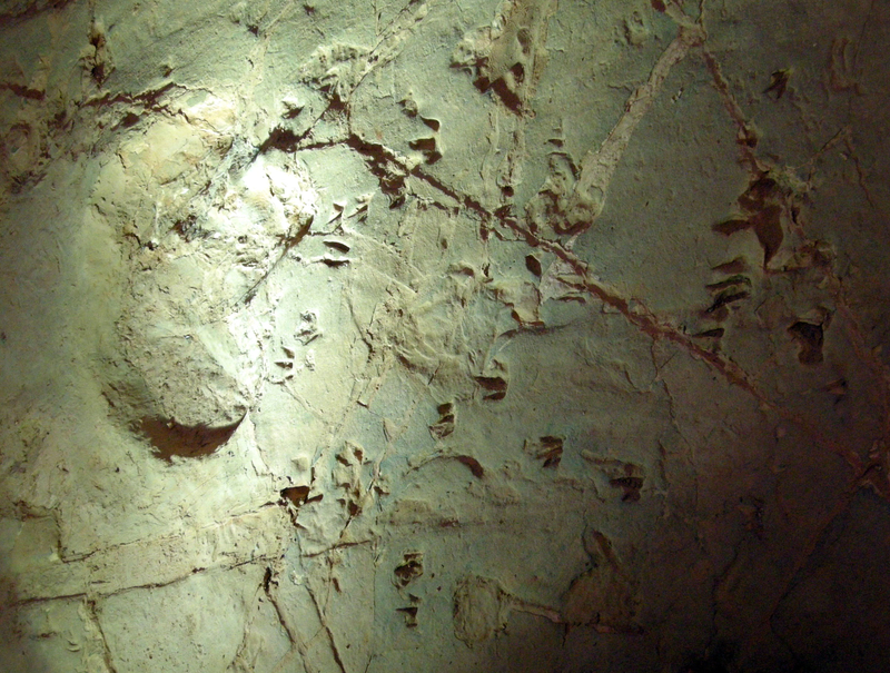 Illustration for article titled From Footprints to the Feet that Made Them